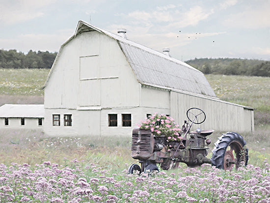 Lori Deiter LD3495 - LD3495 - Flower Field Farm - 16x12 Photography, Farm, Barn, White Barn, Tractor, Flowers, Pink Flowers, Flower Field Farm from Penny Lane