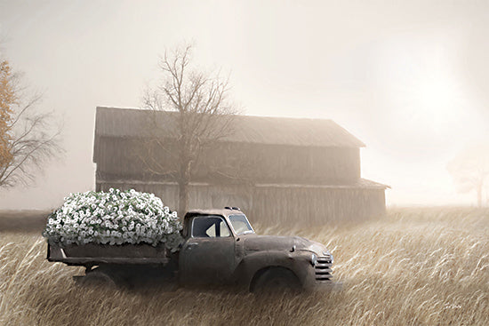 Lori Deiter LD3502 - LD3502 - Sepia Sunset    - 18x12 Photography, Landscape, Farm, Barn, Truck, Flowers, White Flowers, Flower Truck, Field, Sunset, Sepia from Penny Lane