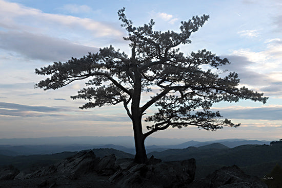 Lori Deiter LD3535 - LD3535 - Blue Ridge View - 18x12 Photography, Landscape, Tree, Rocks, Mountains, Blue Ridge Mountains, Sky, Clouds from Penny Lane