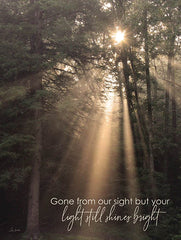 LD3568 - Gone From Our Sight - 12x16