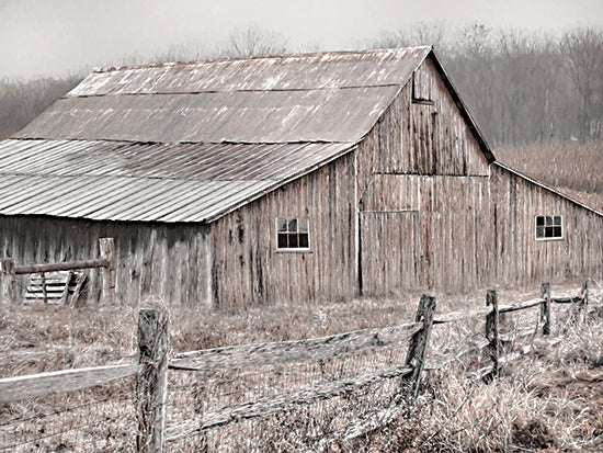 Lori Deiter LD3625 - LD3625 - Weathered Gracefully - 16x12 Photography, Winter, Farm, Barn, Snow, Fence, Brush, Landscape, Trees from Penny Lane