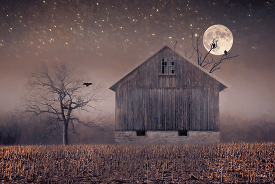 Lori Deiter LD3717 - LD3717 - October Moonlit Night - 18x12 Photography, Fall, Farm, Barn, Field, Moon, Night, Stars, Birds, Crows, Landscape from Penny Lane