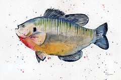 MAT197 - Freshwater Sunfish - 18x12