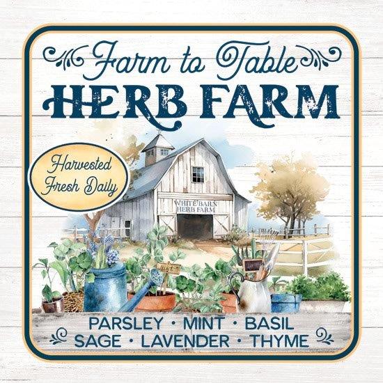 Mollie B. MOL2808 - MOL2808 - Farm to Table Herb Farm - 12x12 Farm, Barn, Herb Farm, Potted Herbs, Watering Can, Farm To Table Herb Farm, Typography, Signs, Textual Art, Herbs, Advertisements from Penny Lane