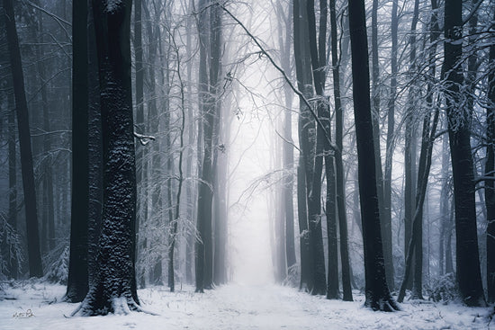 Martin Podt MPP1158 - MPP1158 - Whispering White Woods - 18x12 Photography, Winter, Landscape, Forest, Trees, Snow, Path, Foggy Light, Black & White from Penny Lane