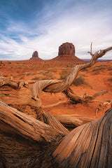 MPP999 - Weathered Wood at Monument Valley - 12x18