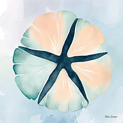 ND170 - High Tide Sand Dollar - 12x12