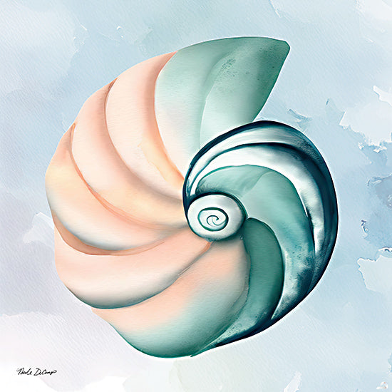 Nicole DeCamp ND171 - ND171 - High Tide Shell - 12x12 Coastal, Shell, Aquatic Animals, Watercolor from Penny Lane