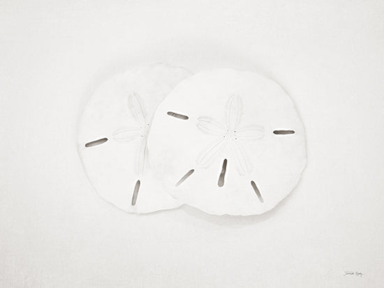 Jennifer Rigsby RIG237 - RIG237 - Vintage Sand Dollars - 16x12 Photography, Coastal, Sand Dollars, White from Penny Lane