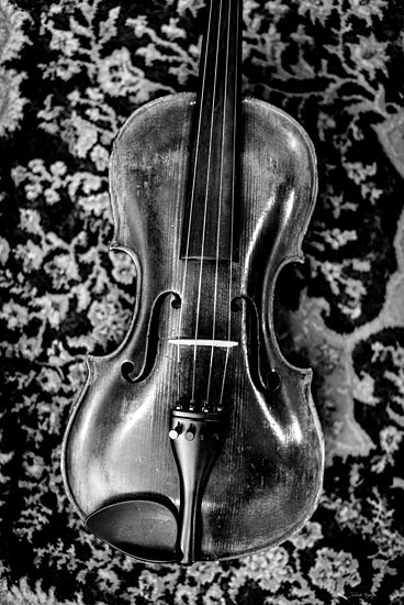 Jennifer Rigsby RIG260 - RIG260 - Violin Grace - 12x18 Photography, Violin, Musical Instrument, Black and White from Penny Lane