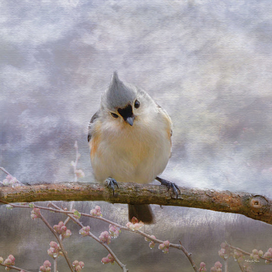 Robin-Lee Viera RLV695 - RLV695 - Tufted Titmouse II - 12x12 Photography, Bird, Tufted Titmouse, Tree Branch, Flower Buds, Pink Flower Buds from Penny Lane