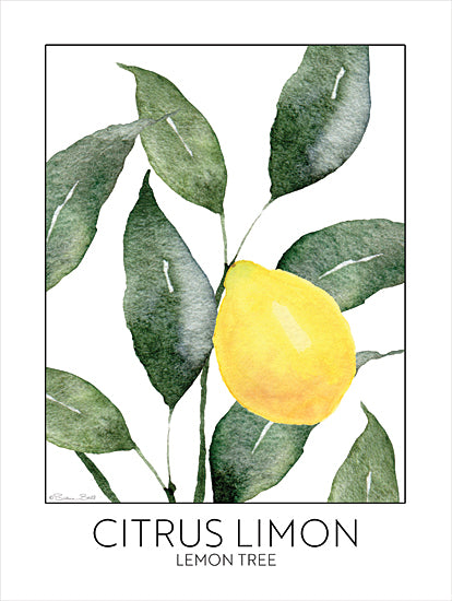 Susan Ball SB1348 - SB1348 - Lemon Tree - 12x16 Kitchen, Lemon Tree, Lemon, Leaves, Citrus Limon Lemon Tree, Typography, Signs, Textual Art, Spanish from Penny Lane