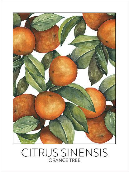 Susan Ball SB1349 - SB1349 - Orange Tree - 12x16 Kitchen, Orange Tree, Oranges, Leaves, Citrus Sinensis Orange Tree, Typography, Signs, Textual Art from Penny Lane