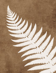 SB1424 - Sienna Fern Frond 1 - 12x16