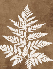 SB1426 - Sienna Fern Frond 3 - 12x16