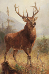 SDS1175 - Trophy Stag - 12x18