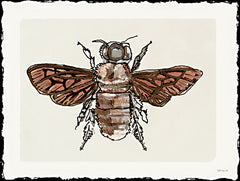 SDS1454 - Bee Sketch 1 - 16x12