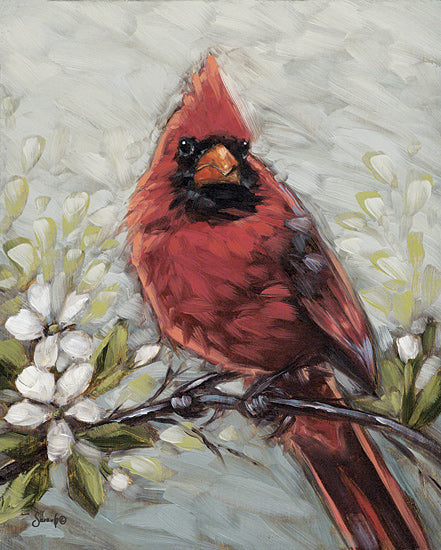 Sara G. Designs SGD198 - SGD198 - So Serious - 12x16 Cardinal, Male Cardinal, Tree Limb, Flowering Tree, White Blossoms, Brush Strokes from Penny Lane