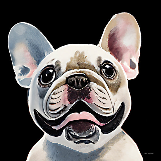 Seven Trees Design ST1077 - ST1077 - The Bulldog - 12x12 Pet, Dog, Bulldog, Portrait, Black Background from Penny Lane