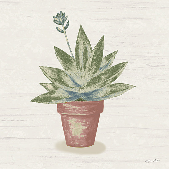 Annie LaPoint ALP2629 - ALP2629 - Blooming Succulent II - 12x12 Succulent, Blooming Succulent, Cactus, Potted Plant, Clay Pot from Penny Lane