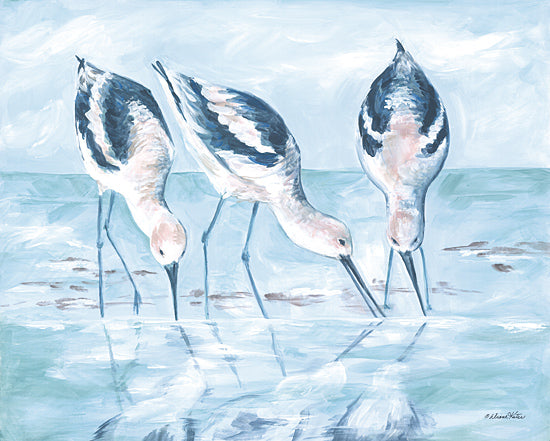 Diane Kater ART1365 - ART1365 - Shorebirds I - 16x12 Coastal, Shorebirds, Ocean, Landscape, Three Shorebirds, Reflections, Sky from Penny Lane