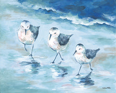 ART1366 - Shorebirds II - 16x12