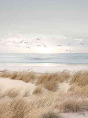 AS130 - Coastal Dreams V - 12x16
