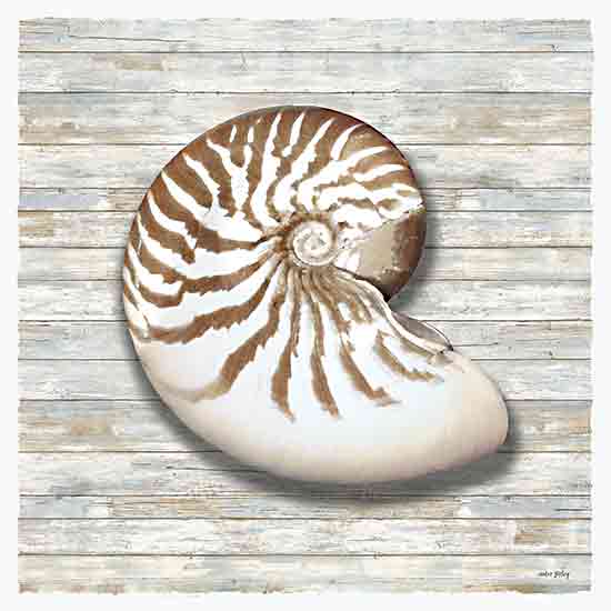 Amber Sterling AS132 - AS132 - Seashells II - 12x12 nautilus shell, coastal style, sea creature, rustic background, natural spiral, beach house decor, ocean inspiration from Penny Lane