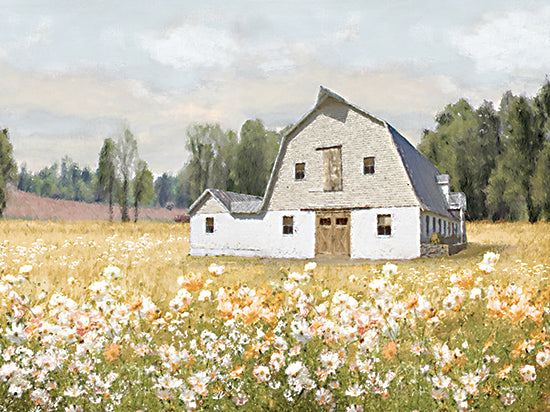 Amber Sterling AS313 - AS313 - Golden Approach - 16x12 Landscape, Farm, Barn, White Barn, Wildflowers, White Wildflowers, Yellow Wildflowers, Trees, Sunny Day from Penny Lane