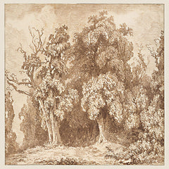 AS479 - Shady Retreat - 12x12