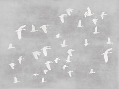 AS501 - Morning Flight   - 16x12