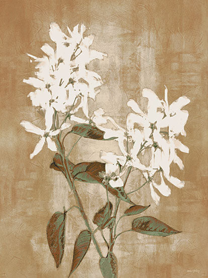 Amber Sterling AS581 - AS581 - Earthy Blooms - 12x16 white flowers sepia background soft floral painterly vintage botanical neutral from Penny Lane
