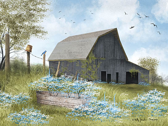 Billy Jacobs BJ1373 - BJ1373 - Bluebird Meadow Barn - 16x12 Farm, Barn, Gray Barn, Fence, Birds, Galvanized Tub, Flowers, Wildflowers, Blue Wildflowers from Penny Lane