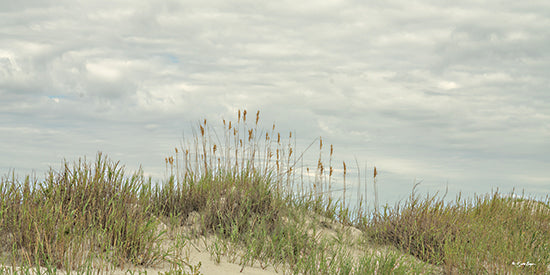 Susie Boyer BOY788 - BOY788 - Clouds on the Beach - 18x9 sand dunes, beach grass, sea oats, coastal landscape, shoreline, ocean horizon, soft cloudy sky, tranquil, minimalist coastal, nature, neutral tones, airy, summer, seaside, beach decor, photography style from Penny Lane