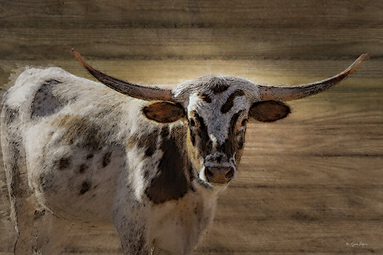 Susie Boyer BOY791 - BOY791 - Rugged Beauty - 18x12 longhorn cow, cattle portrait, farm animal, western, rustic, Texas longhorn, horns, spotted hide, ranch life, barn wood background, close-up, animal photography, country decor, Americana, masculine, wildlife from Penny Lane