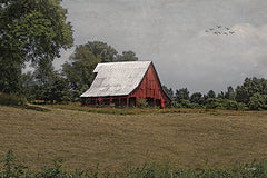 BOY797 - Echoes of the Past     - 18x12