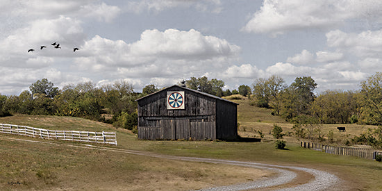 Susie Boyer BOY801 - BOY801 - Road to the Barn      - 18x9 rustic barn countryside farm landscape photography rural scene from Penny Lane