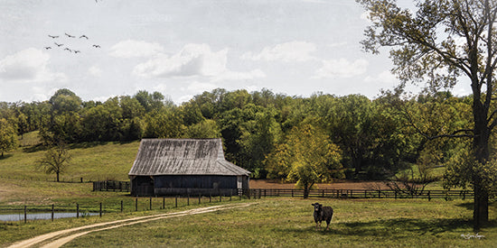 Susie Boyer BOY810 - BOY810 - Standing Guard - 18x9 country barn, rural pasture, winding dirt road, cow in field, farm landscape, pond, fences, rolling hills, trees, birds in sky, rustic, Americana, pastoral scene, nature, farmhouse decor, scenic from Penny Lane
