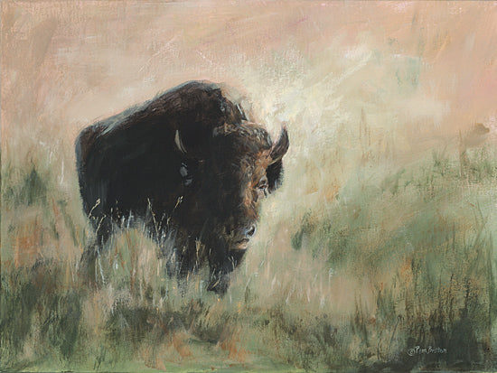 Pam Britton BR648 - BR648 - Bison in the Mist - 16x12 Landscape, Brush, Bison, Portrait, Abstract from Penny Lane