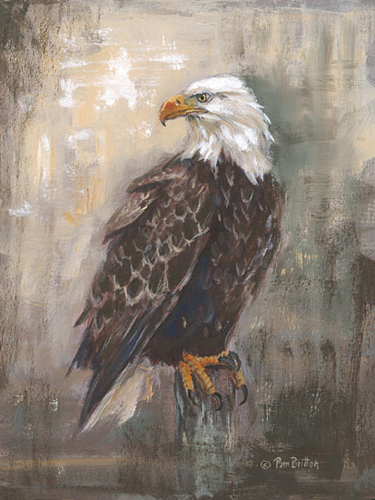Pam Britton BR658 - BR658 - Panhandle Eagle - 12x16 bald eagle portrait, perched eagle, American bird, wildlife artwork, detailed feathers, noble raptor, rustic painted background, patriotic wildlife, bird of prey, strong beak and talons, majestic eagle art, painterly animal study from Penny Lane
