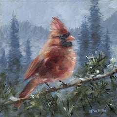 BR687 - Chilly Cardinal - 12x12
