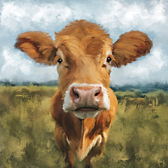 BRAD276 - Cow Close Up - 12x12