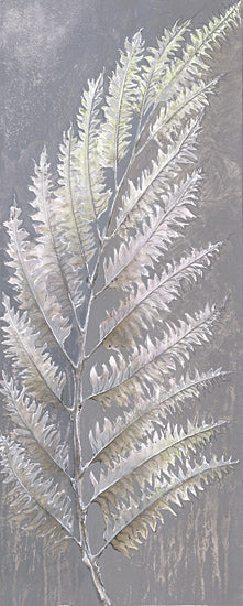 Cloverfield & Co. CC273 - CC273 - Soft Fern II - 8x20 Greenery, Fern, Leaves, Dark Background from Penny Lane