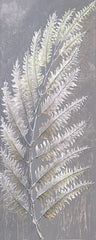 CC273 - Soft Fern II - 8x20