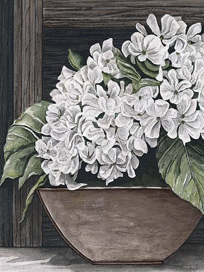 Cindy Jacobs CIN4016 - CIN4016 - Potted Hydrangea - 12x16 watercolor white hydrangeas; rustic wall planter; weathered wood backdrop; farmhouse floral arrangement; soft neutral palette; cottage style decor; bloom cluster; botanical wall art; shaded floral still life; country home accent; elegant rustic flowers; painterly floral illustration from Penny Lane