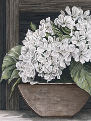 CIN4016 - Potted Hydrangea - 12x16