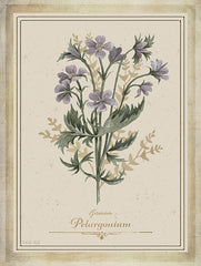 CIN4358 - Vintage Botanical III - 12x16