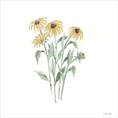CIN4363 - Black-eyed Susan Botanical - 12x12