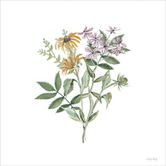 CIN4367 - Botanical Mix I - 12x12