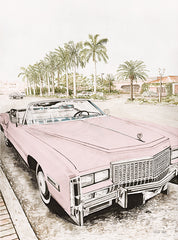 CIN4391 - Coastal Cruisin'   - 12x16